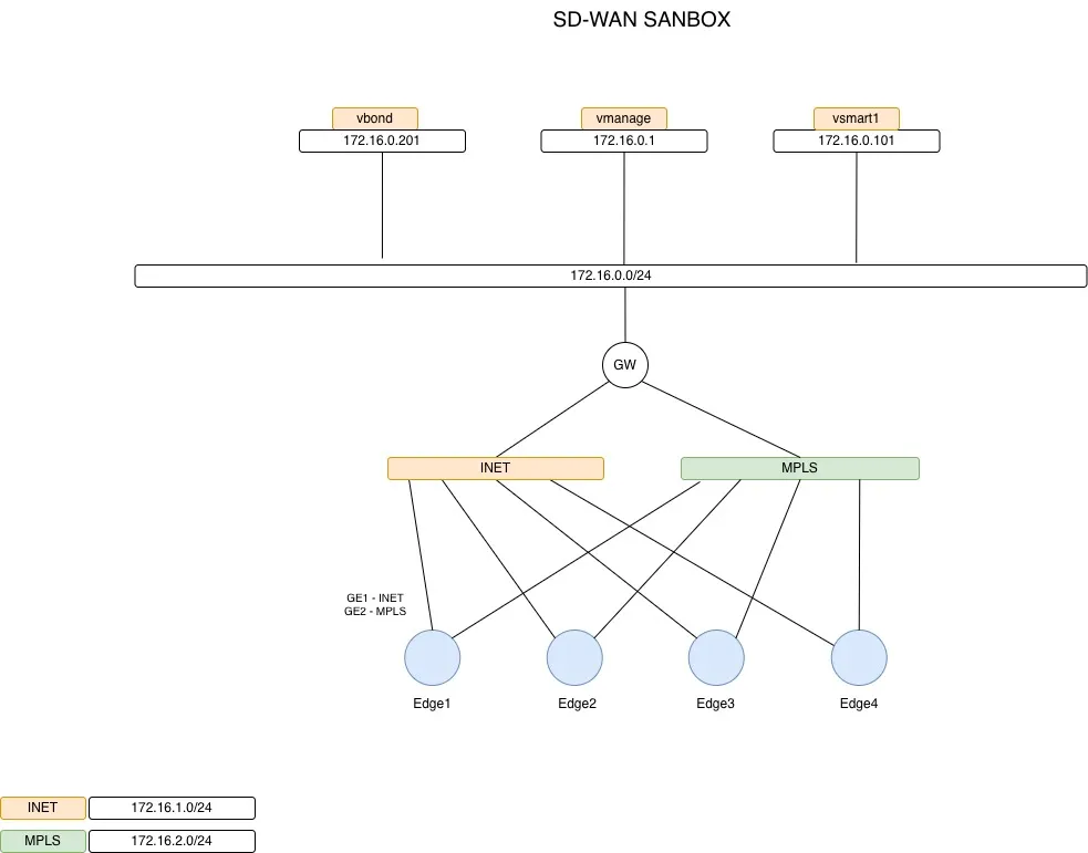 lab topology